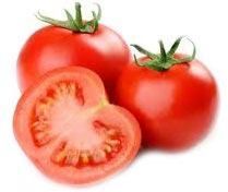 Fresh Tomato