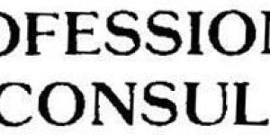 Professional Tax Consultant