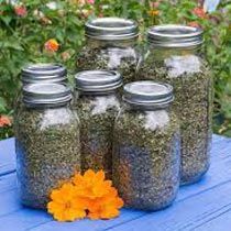 Herbal Feed Supplement