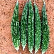 Hybrid Vegetable Seeds