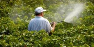 Bio Pesticides