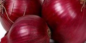 Fresh Red Onion