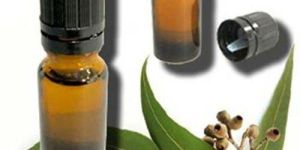 Pure Eucalyptus Oil