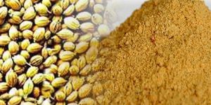 Coriander Powder