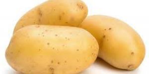 Potato