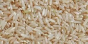 Sona Masoori Brown Rice