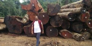 Merbau Sawn Timber