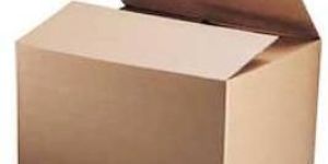 Corrugated Paper Cartons