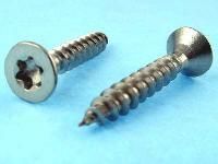 Torx Screw