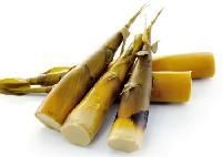 Bamboo Shoots
