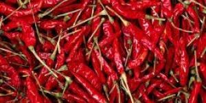 Dried Red Chilli