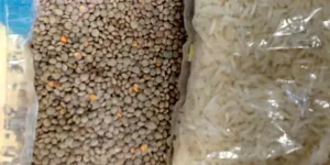 JAIVIK/ORGANIC FOOD