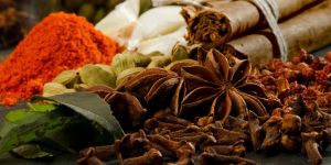 Indian Spices
