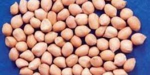 Groundnuts