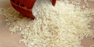 Basmati Rice