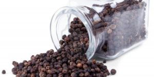 Black Pepper Seeds