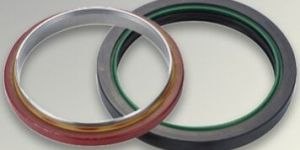 Oil Seals
