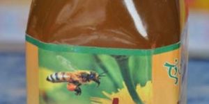 Angel Eucalyptus ( Safeda ) Honey