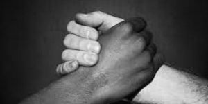 Surface Coating Services