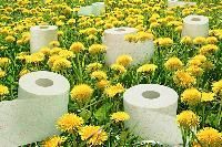 Hygiene Tissue Paper