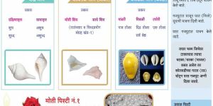 Moti Bhasma No. 1