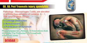 Synovolin Liniment