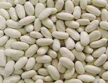 White Kidney Beans