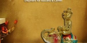 Feng Shui Monkey on Elephant