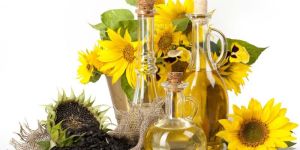 Sunflower Oil