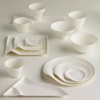 Disposable Dinnerware