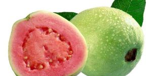 Fresh Guava