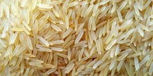 1509 Sella Rice