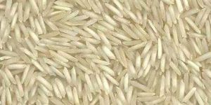 8.3mm Steam Rice