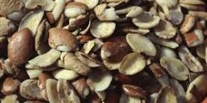 Irvingia Gobonesis Herbal Seed Extract