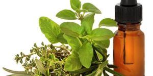 Herbal Extraction Plant