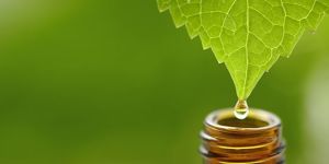 Natural Flower Extracts