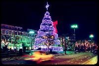 Christmas Decoration Lights