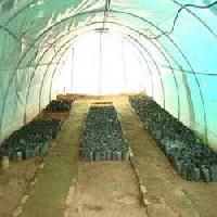 UV Stabilized Films