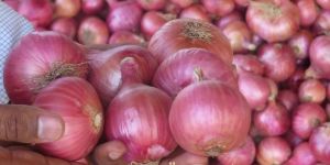 Onions