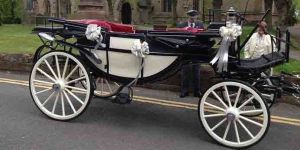 Wedding Horse Carriage