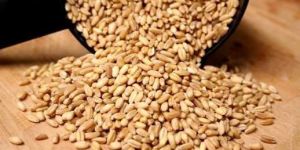 Wheat Berries