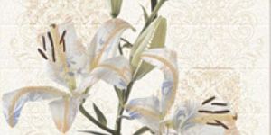 HL-B Series Digital Ceramic Wall Tiles