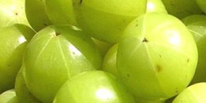 Fresh Amla