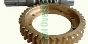 Worm Gears