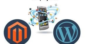 Web Development Services