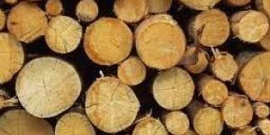 MLH Wood Logs