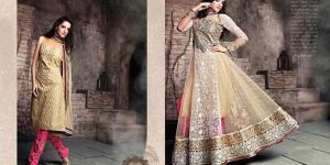 Ladies Ethnic Indo Western Dresses