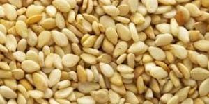 Sesame Seeds