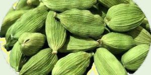 Green Cardamom