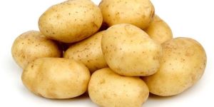 Potato